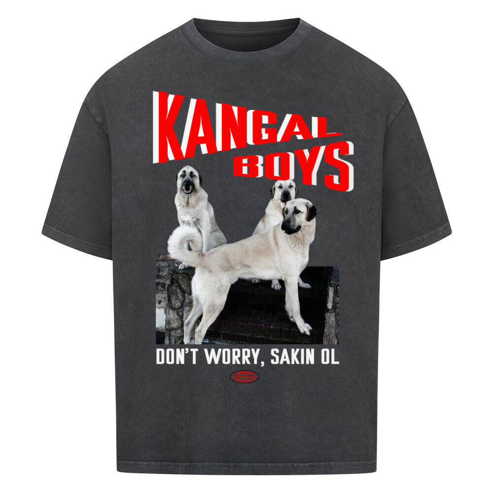 4b5d37e1-aab0-44a6-9350-be7725268408